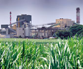 Stainless Steel Fittings Suppliers for fertilizer and sugar ind